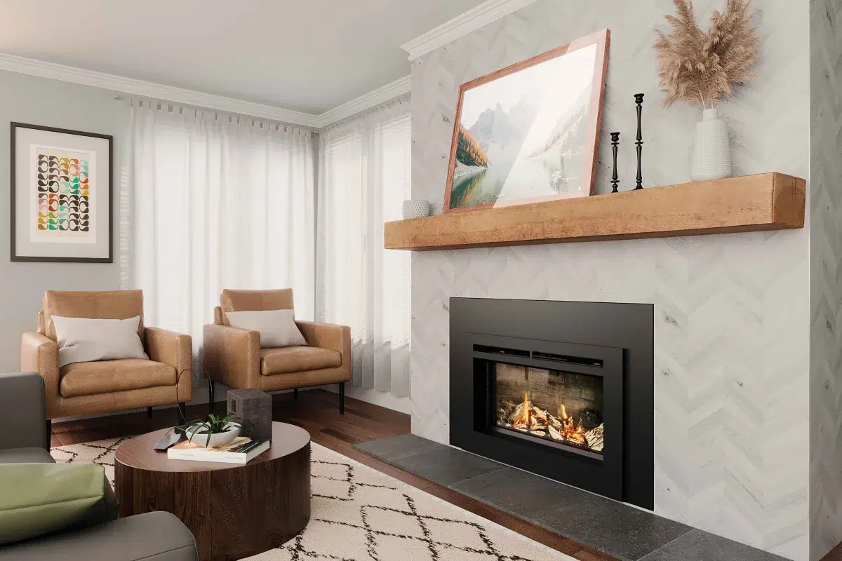 collections-fireplace-insert-img-1